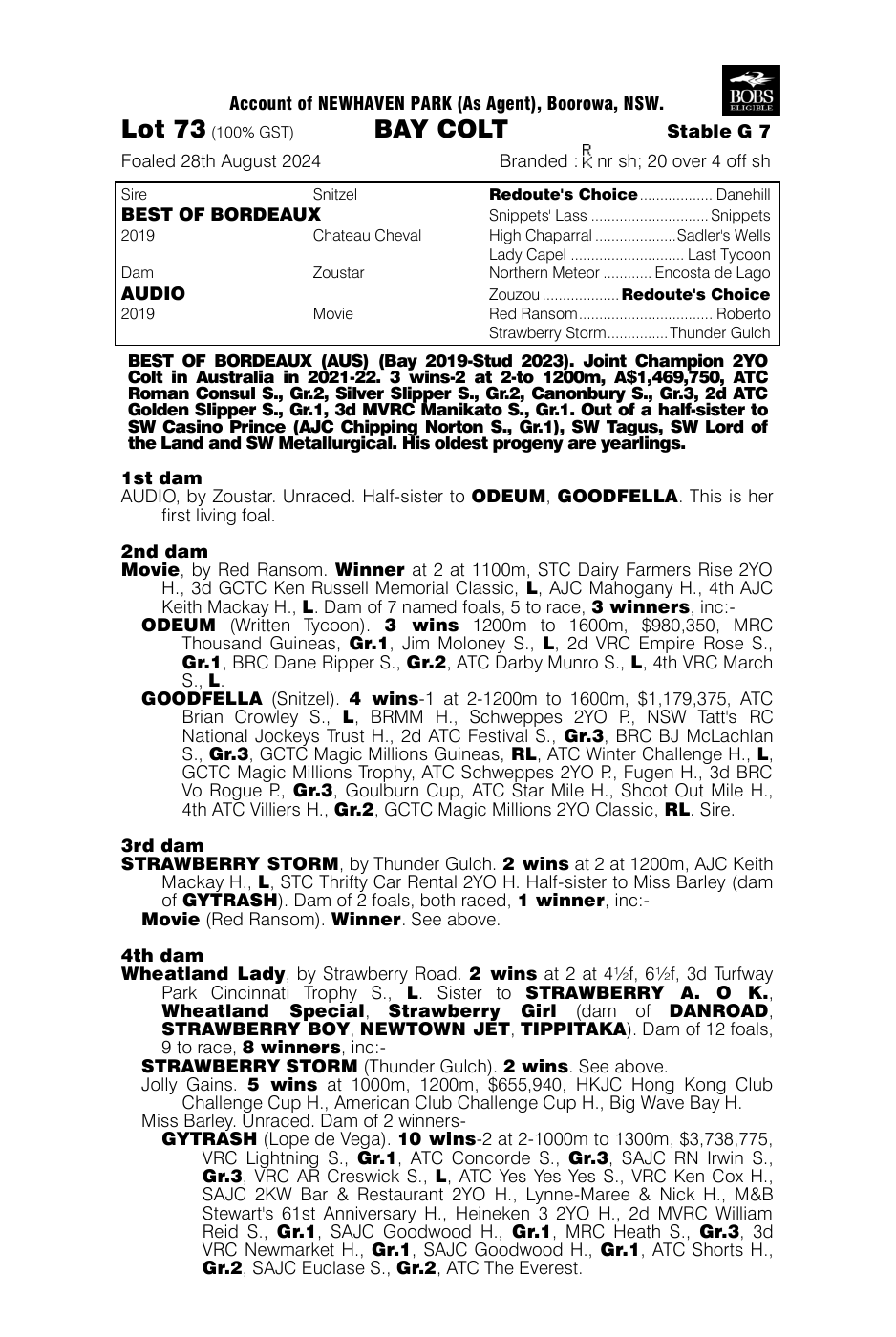 Pedigree - Lot 73
