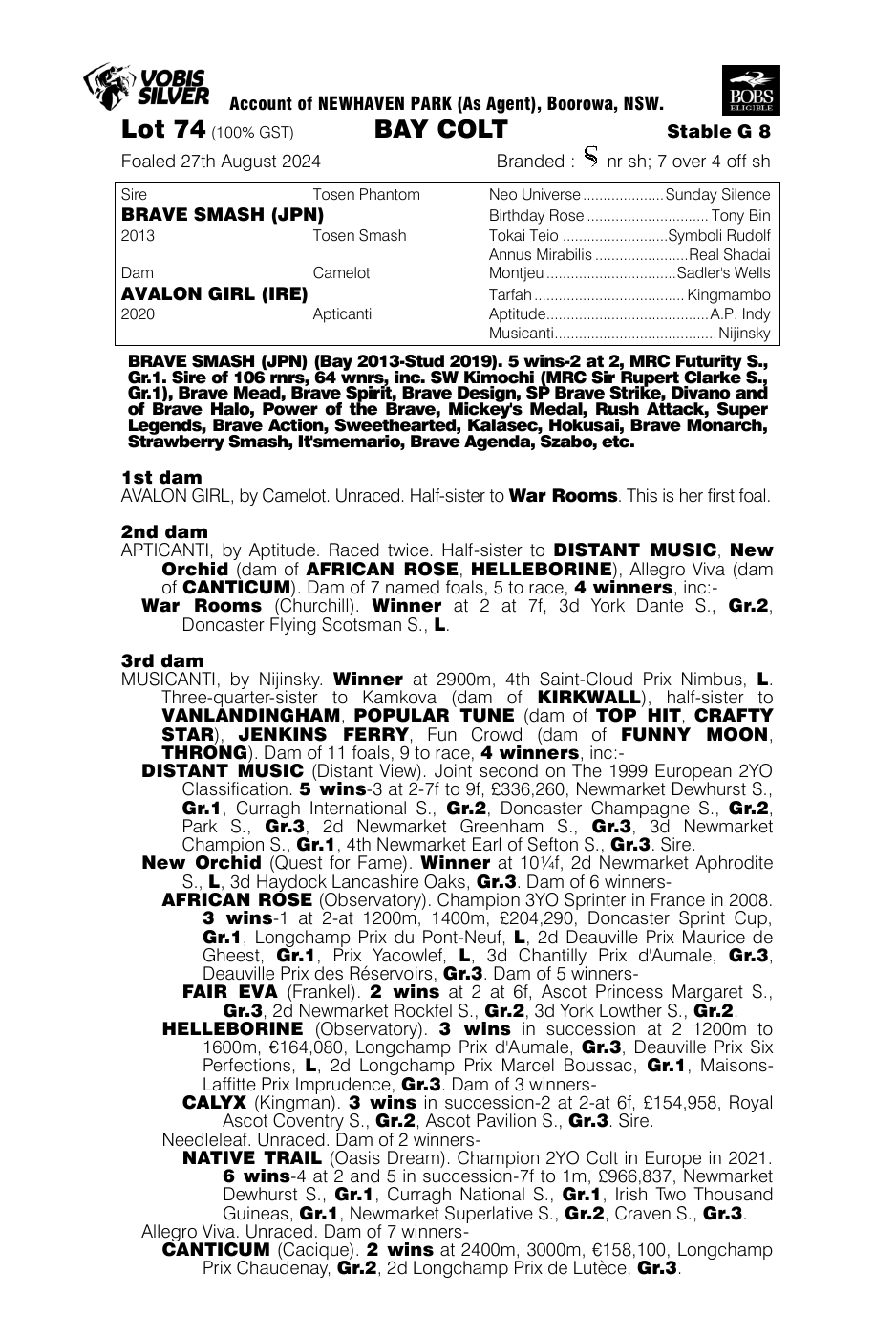 Pedigree - Lot 74