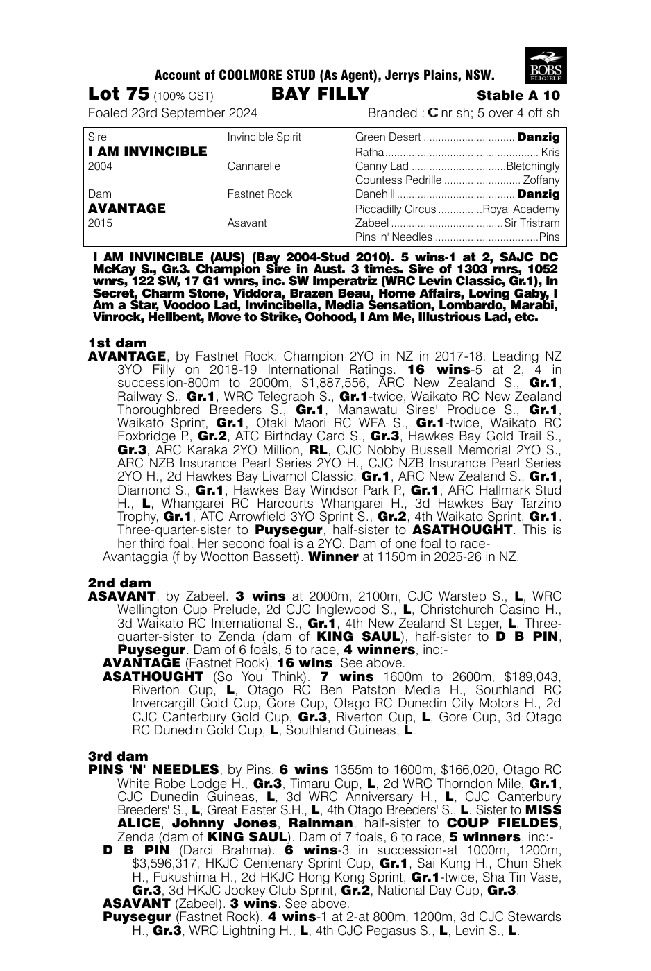 Pedigree - Lot 75