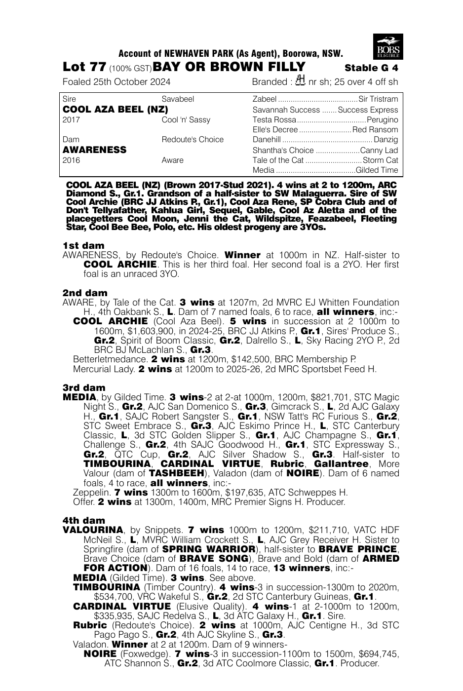 Pedigree - Lot 77