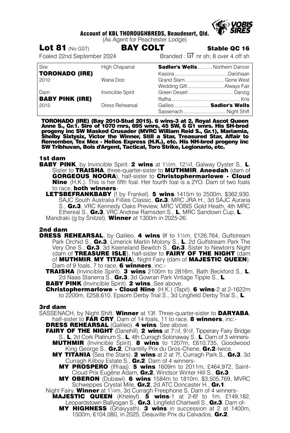 Pedigree - Lot 81