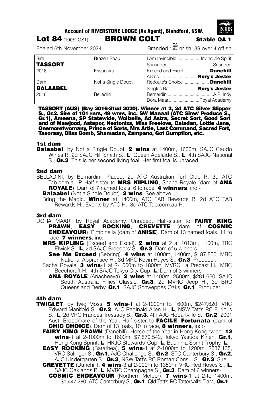 Pedigree - Lot 84