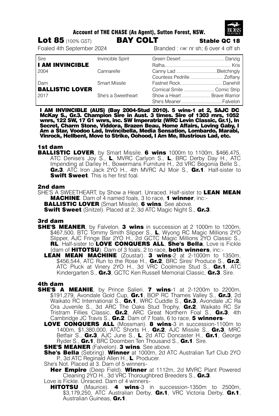 Pedigree - Lot 85
