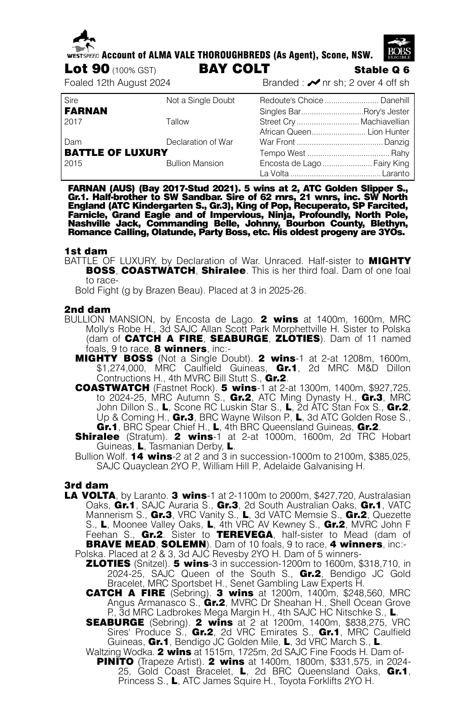 Pedigree - Lot 90