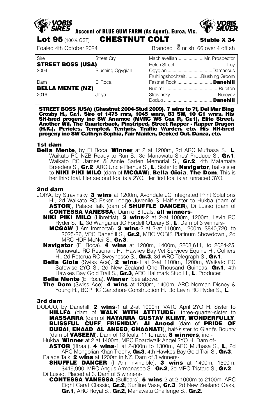 Pedigree - Lot 95