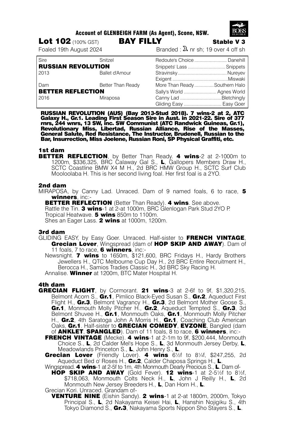 Pedigree - Lot 102