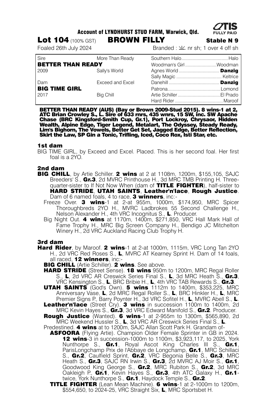 Pedigree - Lot 104