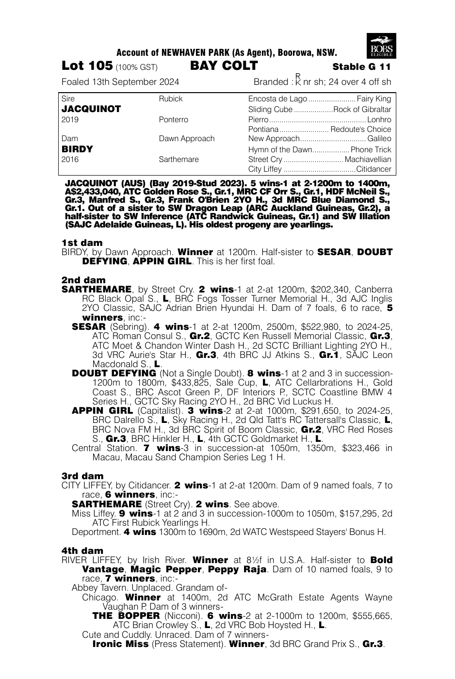 Pedigree - Lot 105