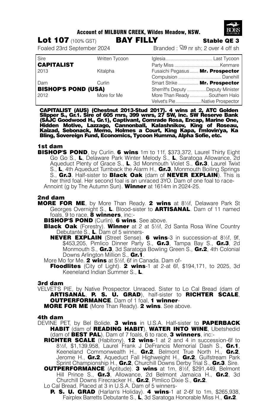 Pedigree - Lot 107