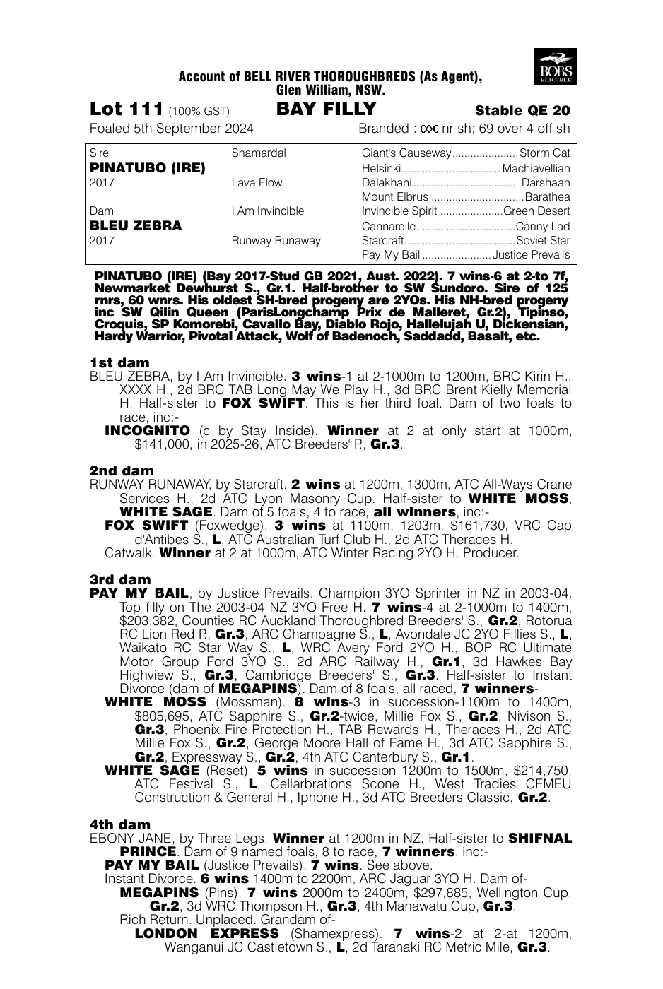 Pedigree - Lot 111