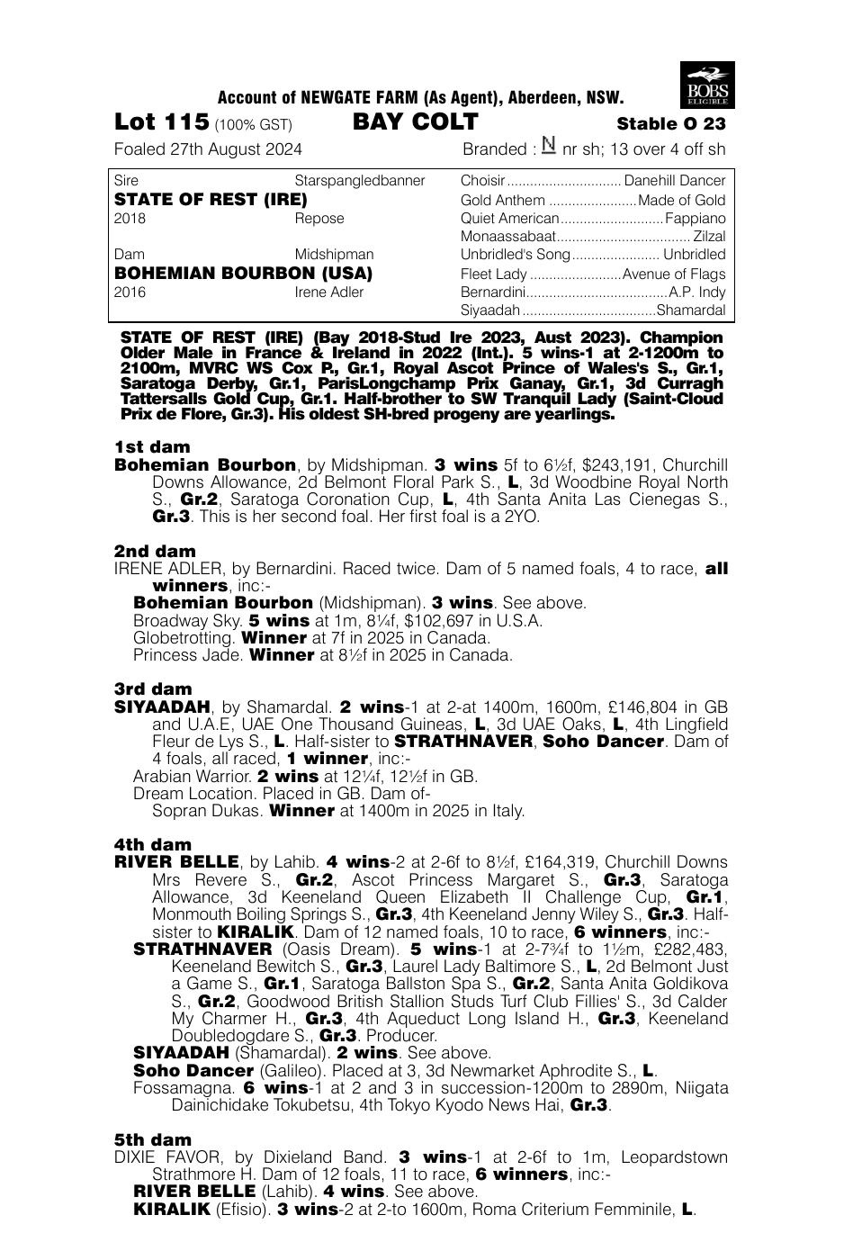 Pedigree - Lot 115