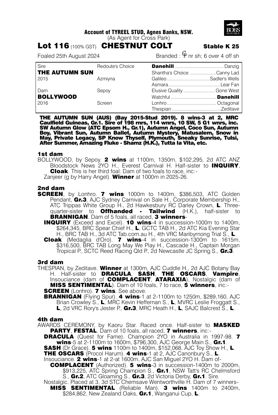 Pedigree - Lot 116