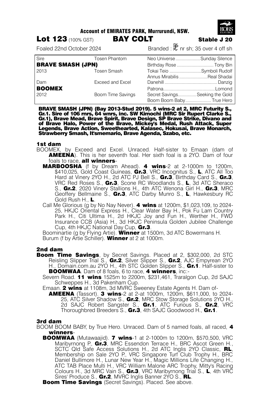 Pedigree - Lot 123