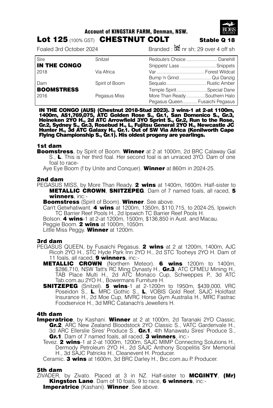 Pedigree - Lot 125