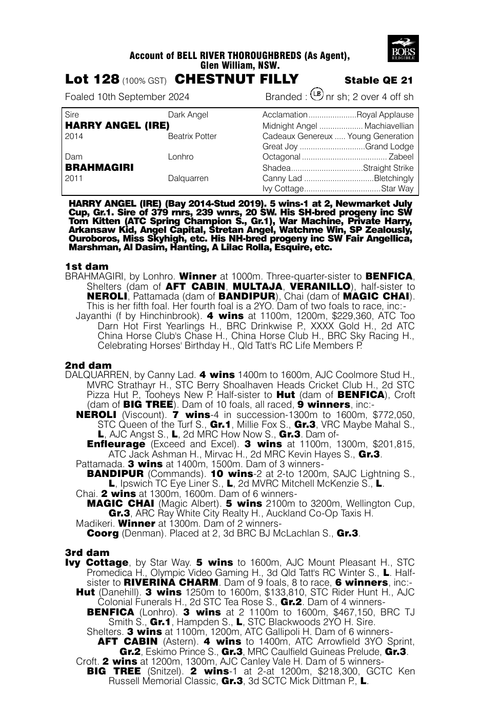 Pedigree - Lot 128