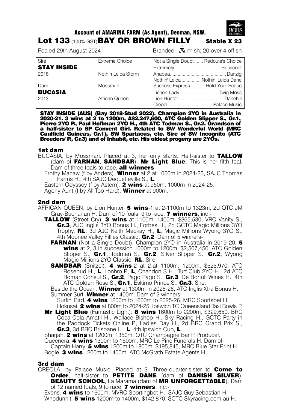 Pedigree - Lot 133