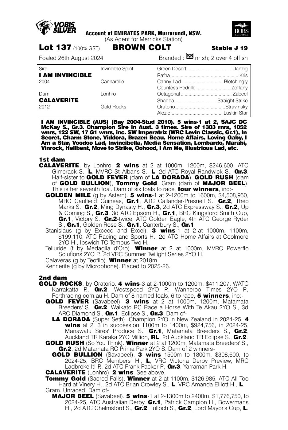 Pedigree - Lot 137
