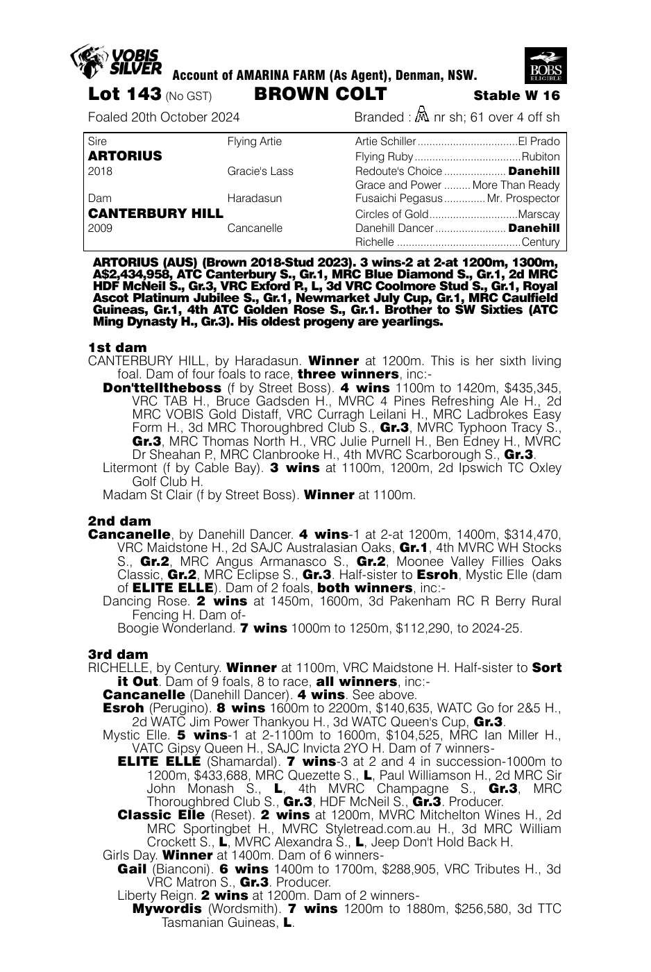 Pedigree - Lot 143