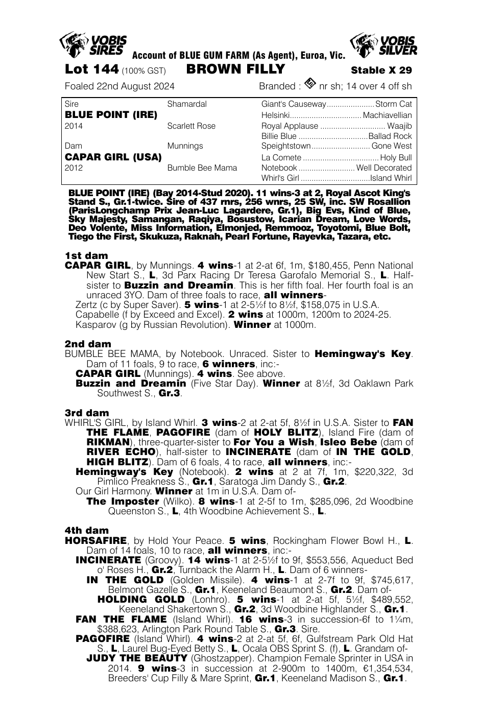 Pedigree - Lot 144