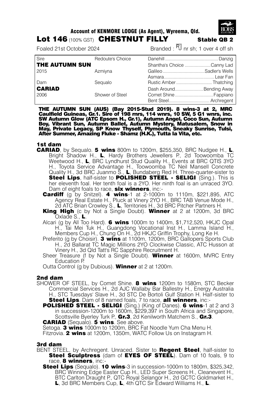 Pedigree - Lot 146