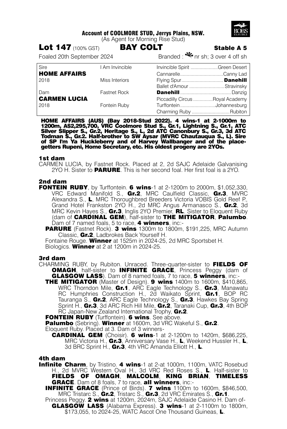 Pedigree - Lot 147