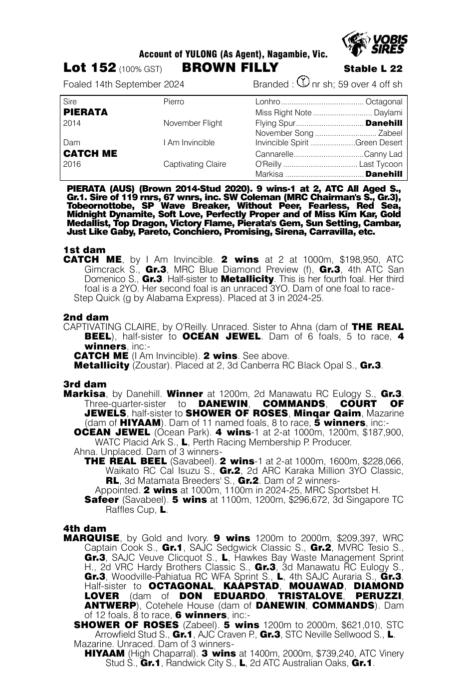 Pedigree - Lot 152