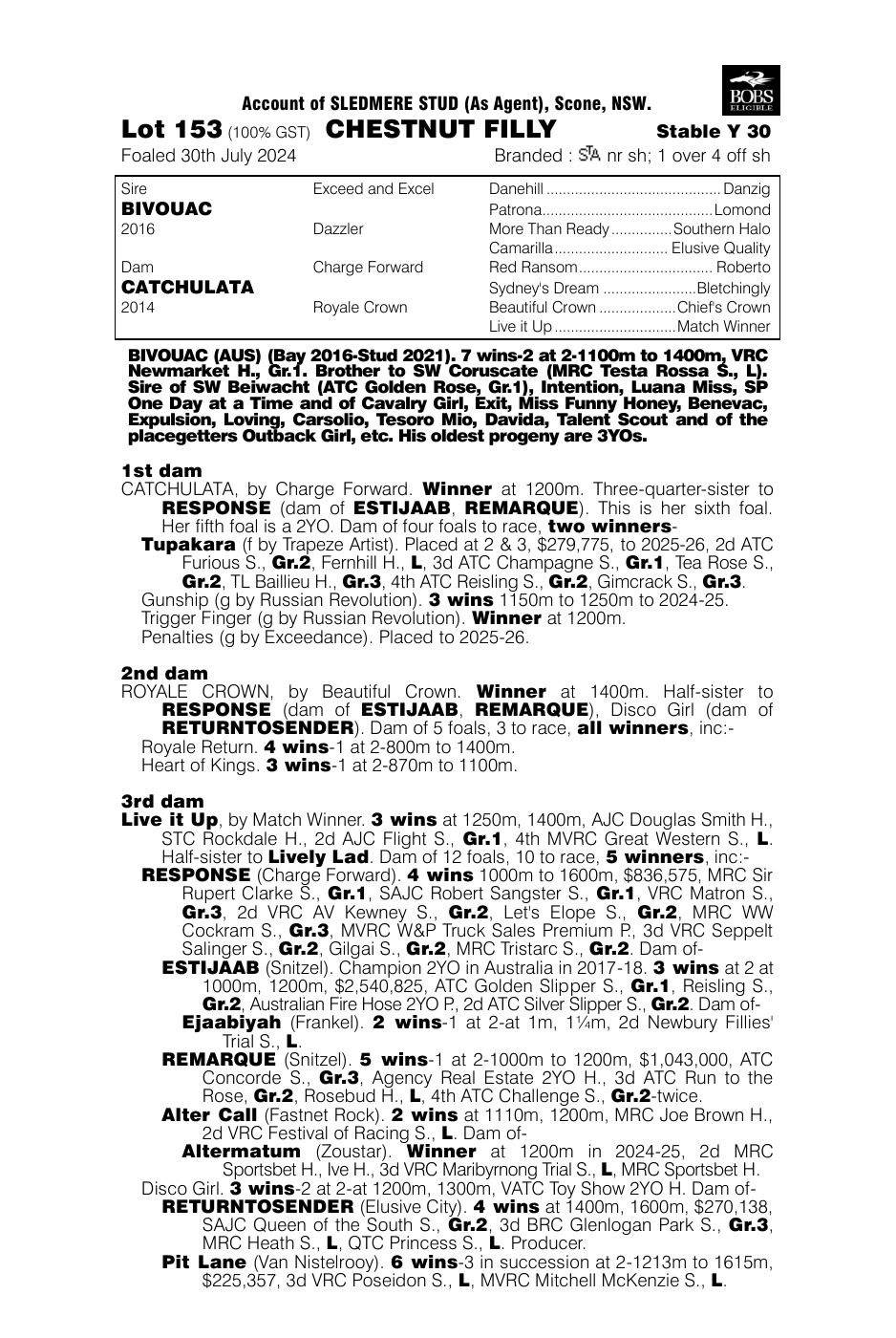 Pedigree - Lot 153