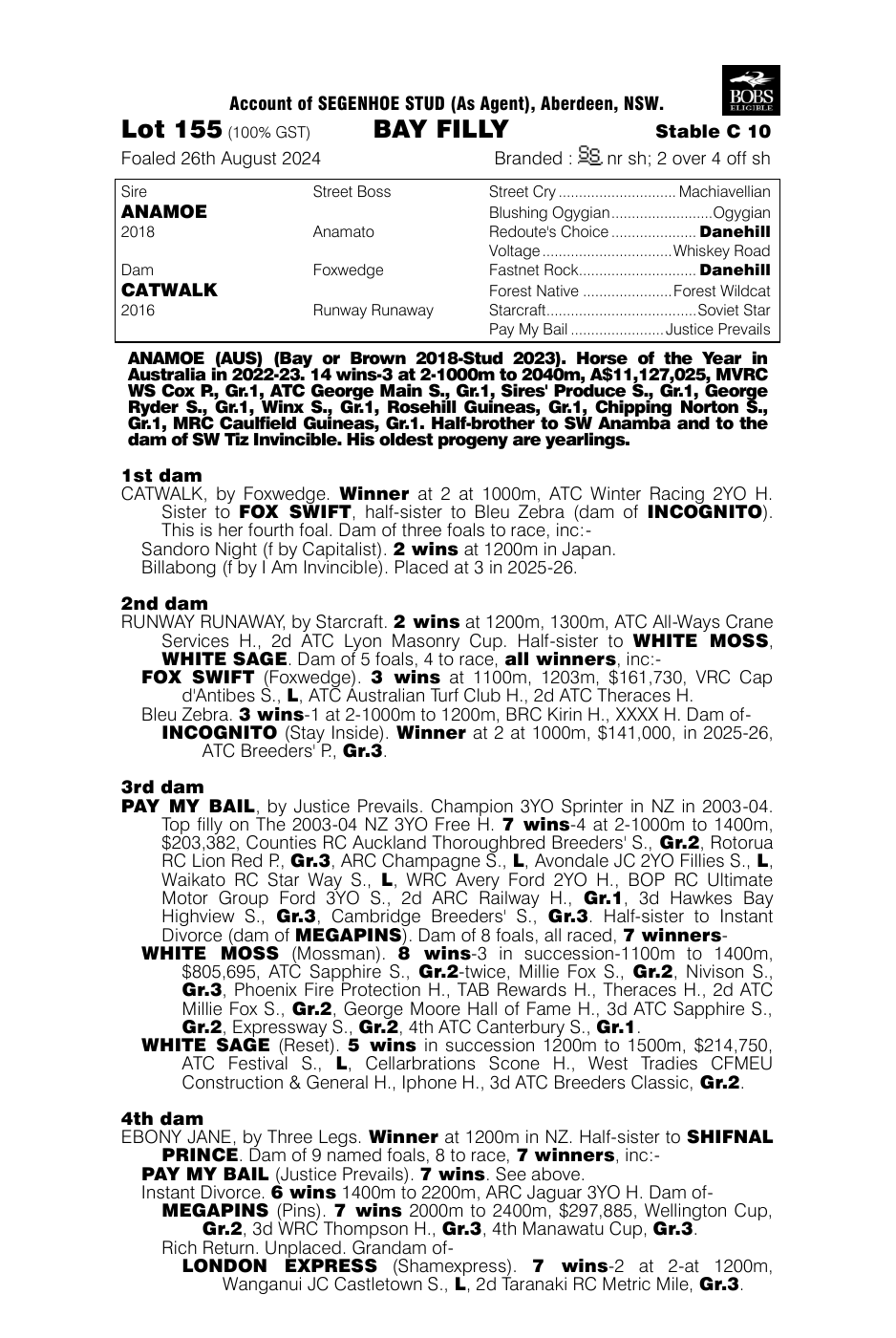 Pedigree - Lot 155