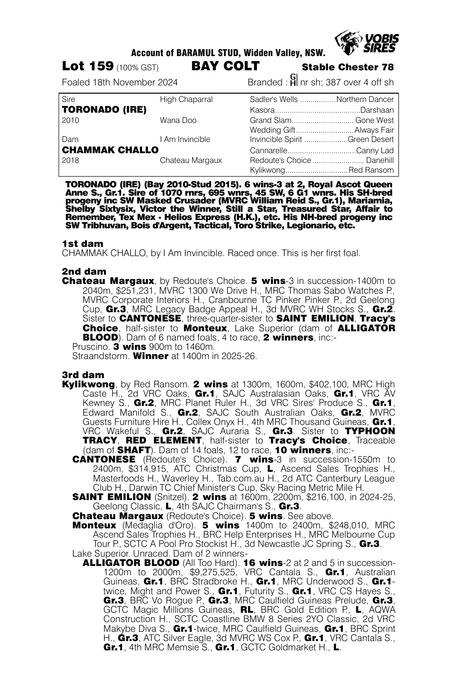 Pedigree - Lot 159