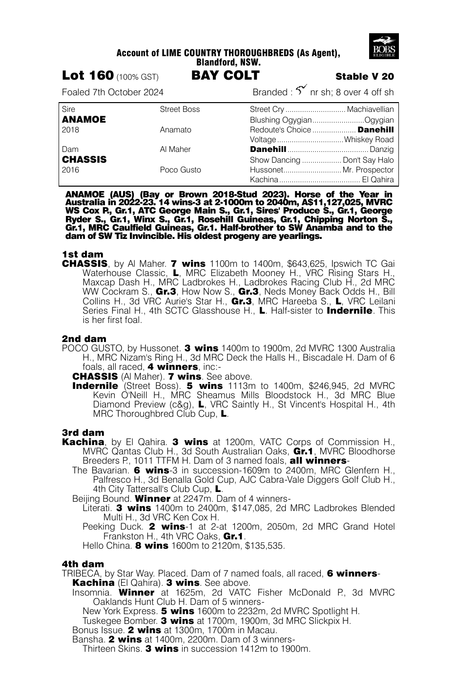 Pedigree - Lot 160