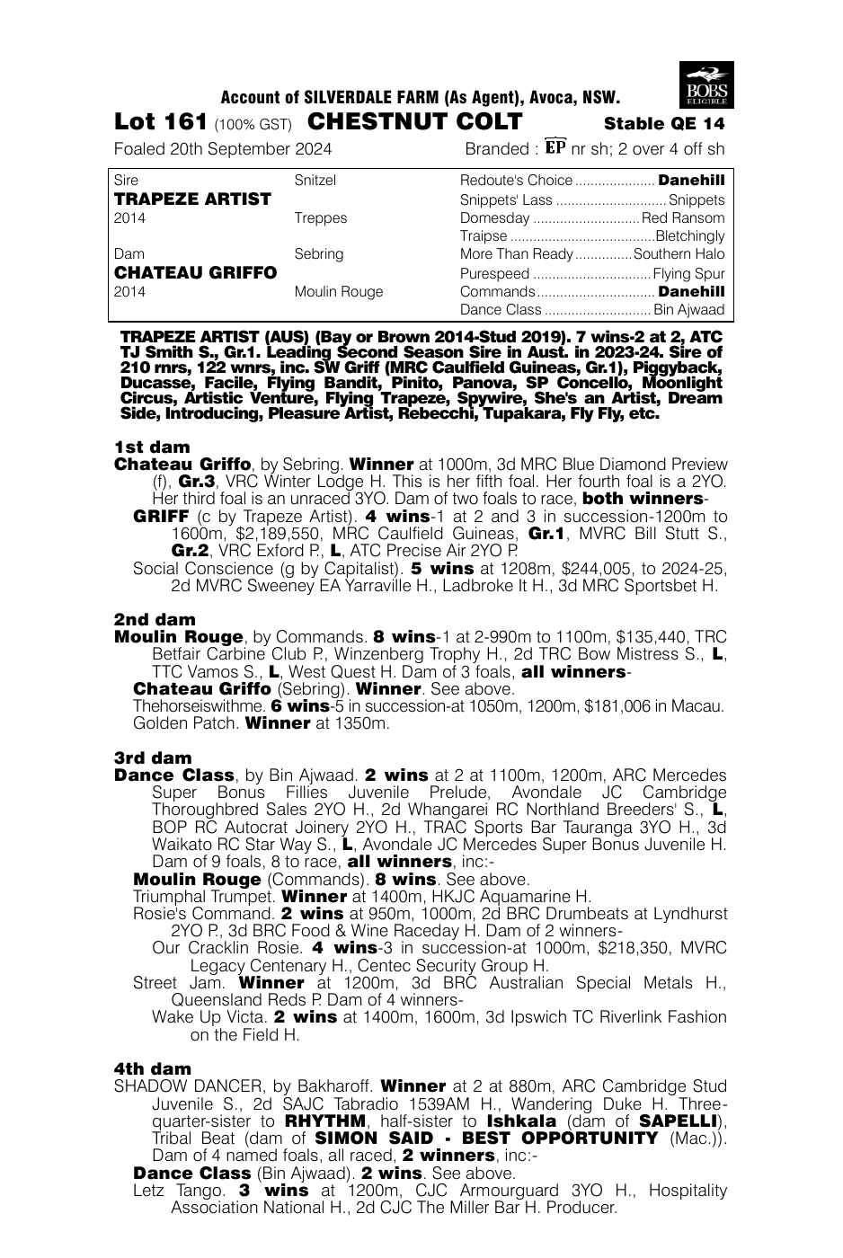 Pedigree - Lot 161