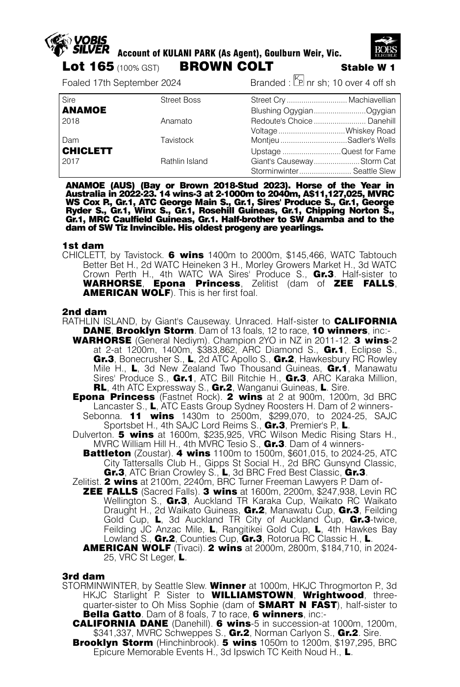 Pedigree - Lot 165