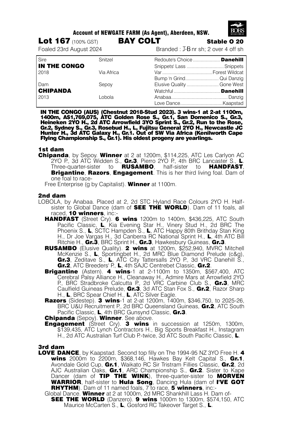 Pedigree - Lot 167