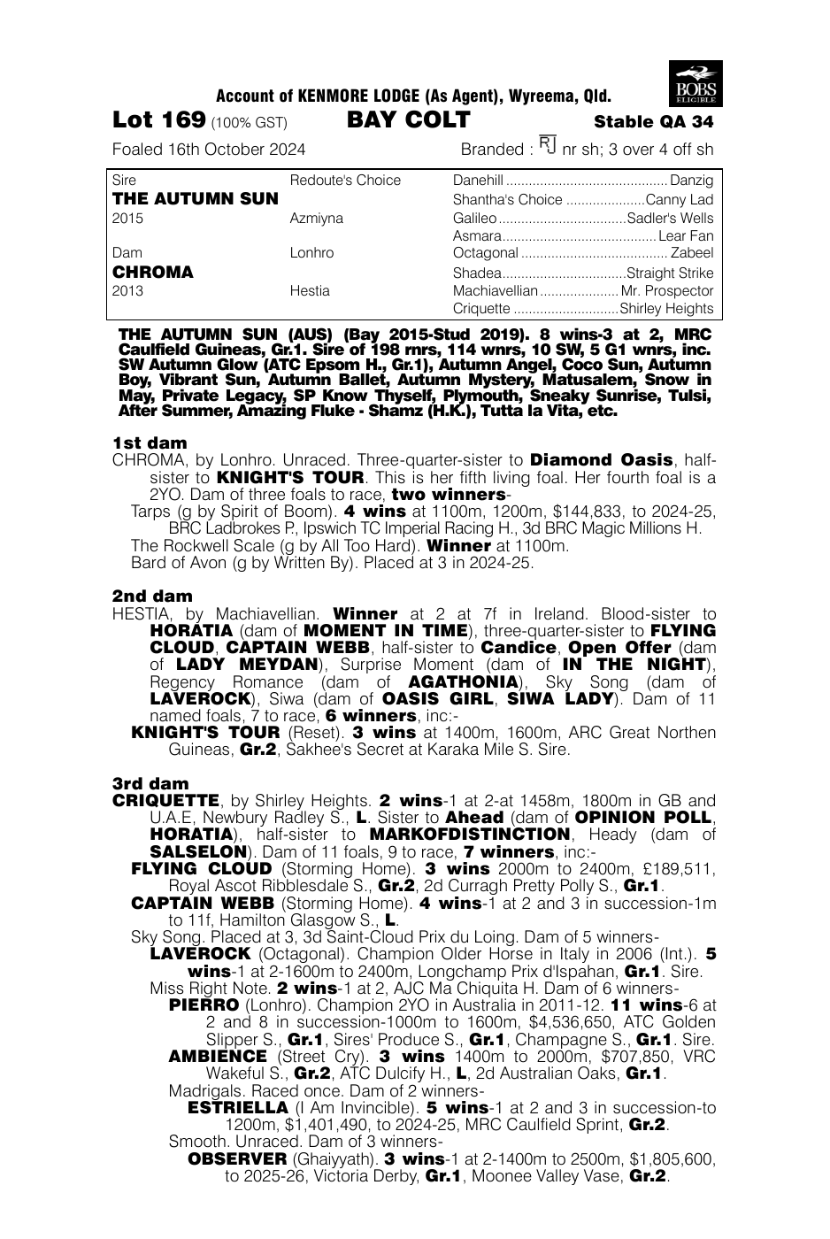 Pedigree - Lot 169