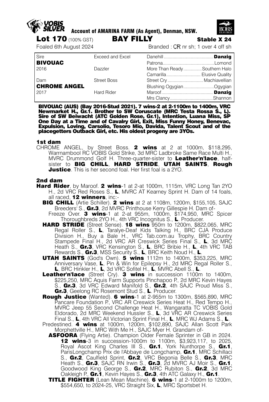 Pedigree - Lot 170