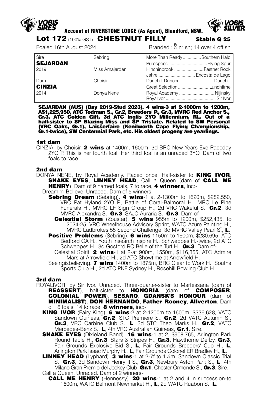 Pedigree - Lot 172