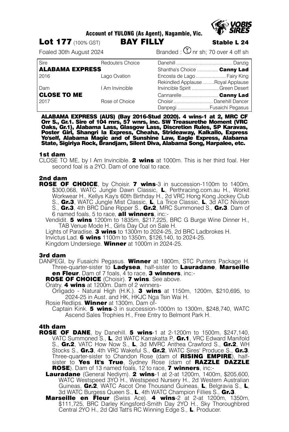 Pedigree - Lot 177