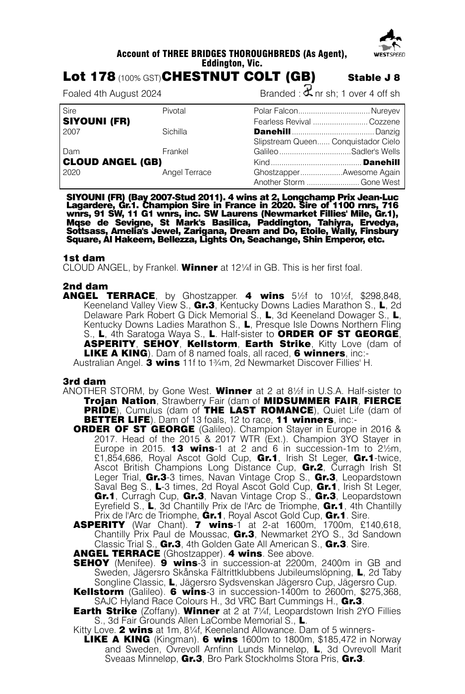 Pedigree - Lot 178