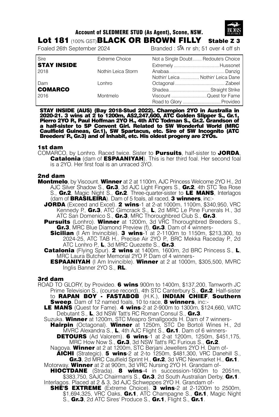 Pedigree - Lot 181