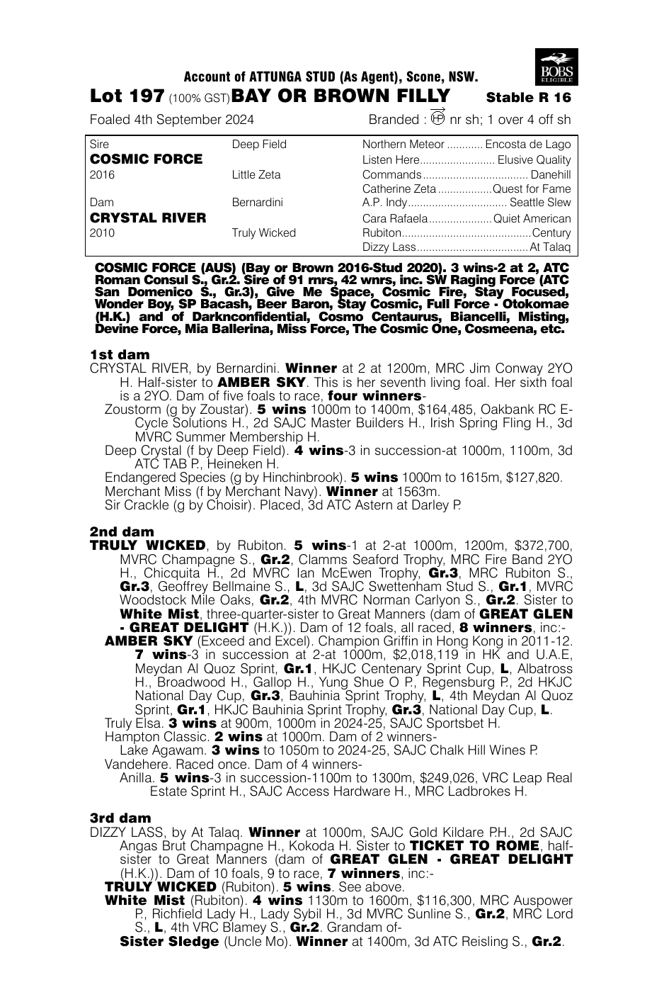 Pedigree - Lot 197