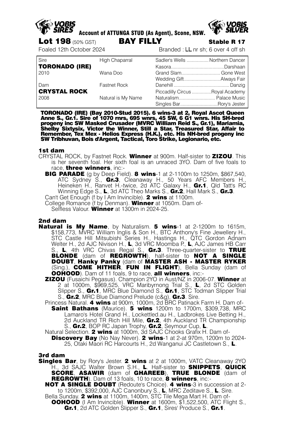 Pedigree - Lot 198