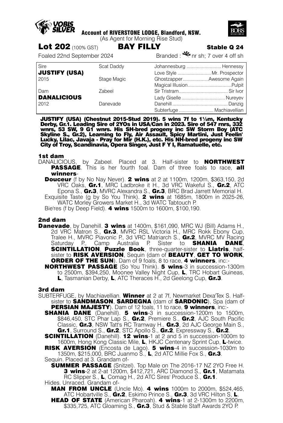 Pedigree - Lot 202