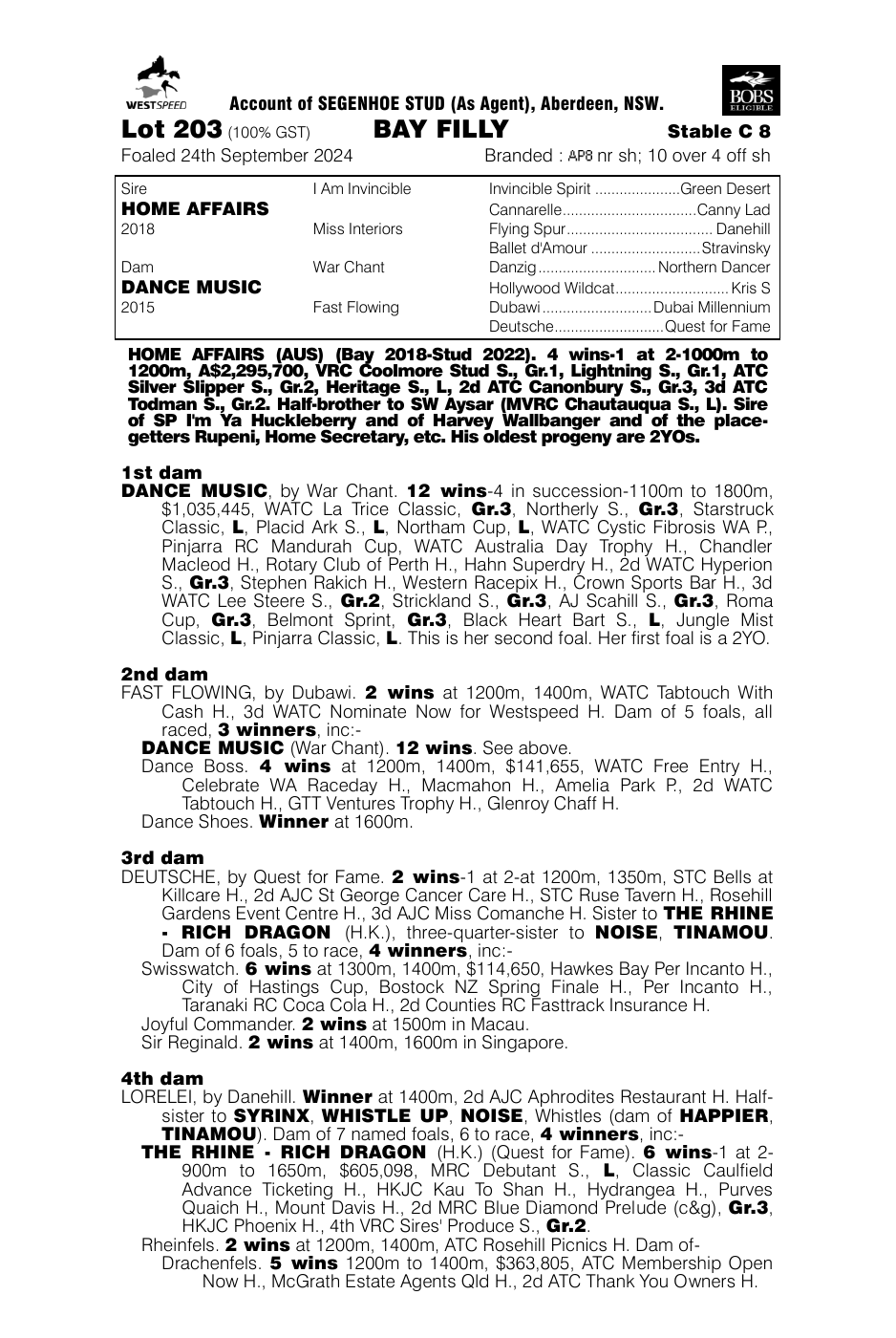 Pedigree - Lot 203