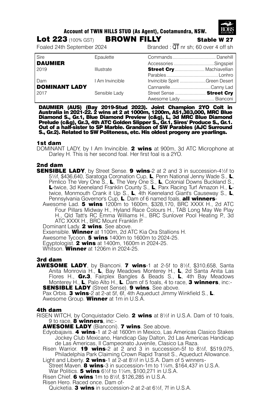Pedigree - Lot 223