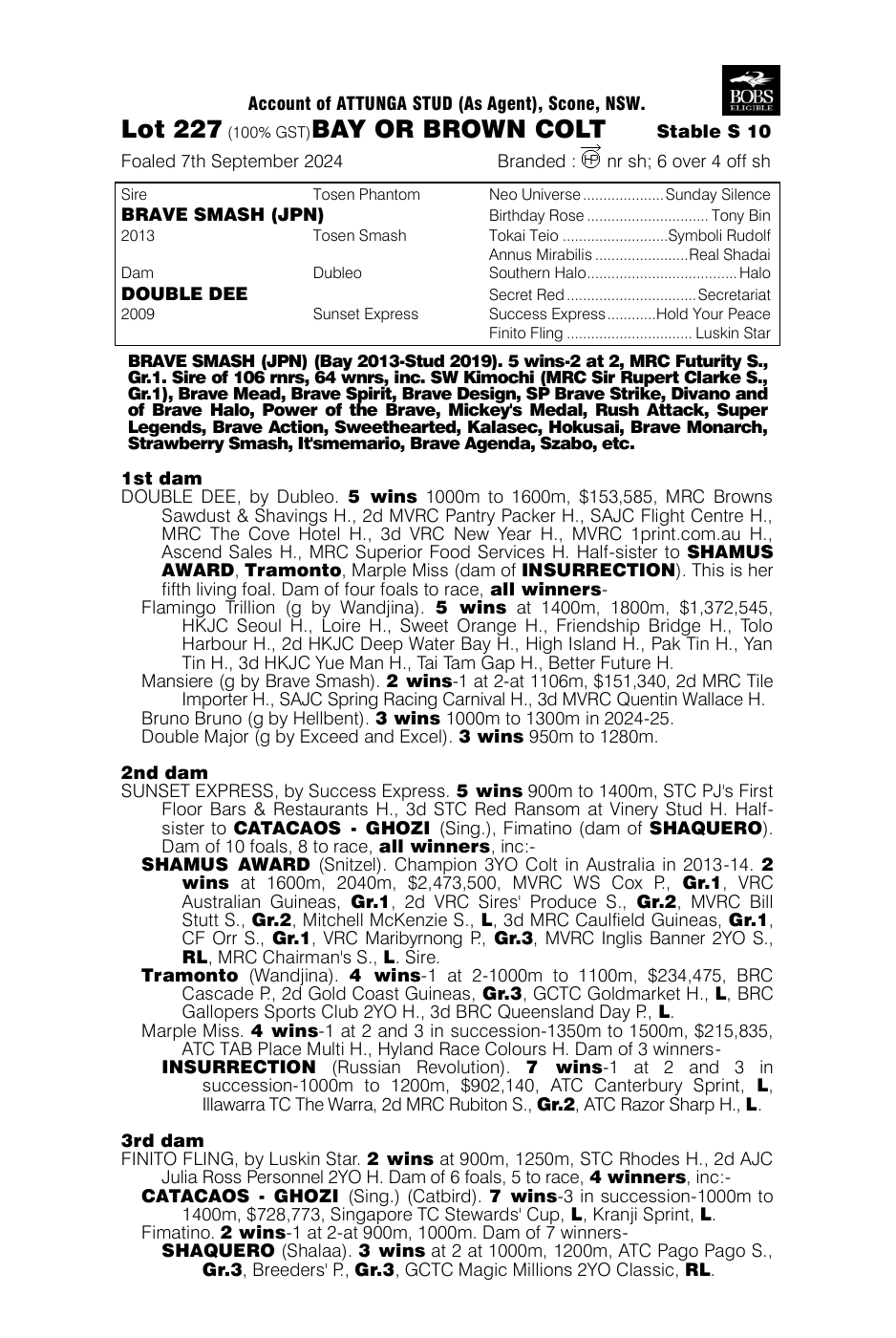 Pedigree - Lot 227