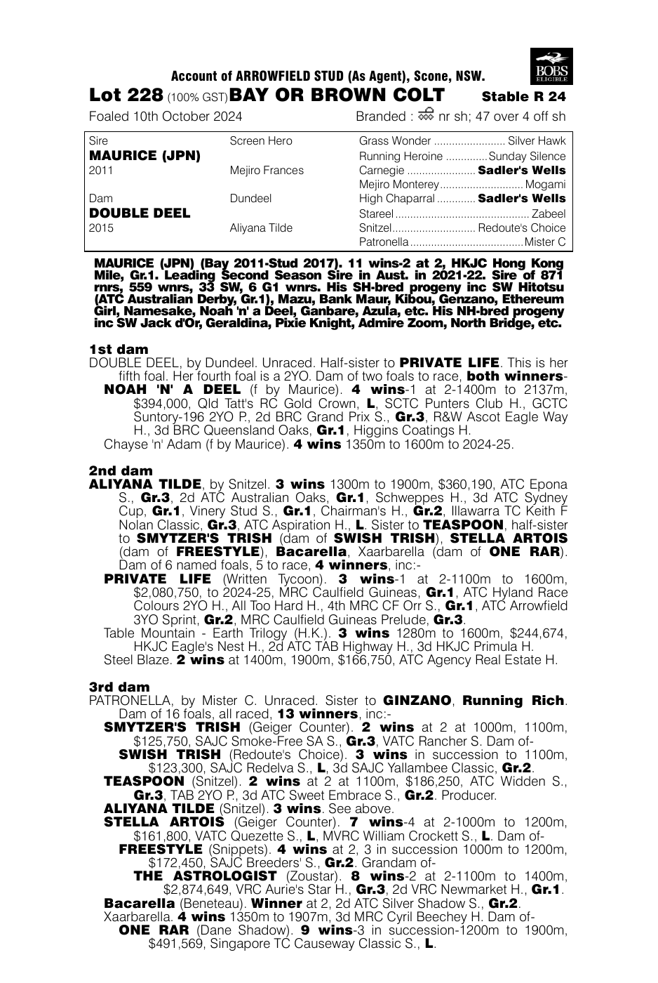 Pedigree - Lot 228