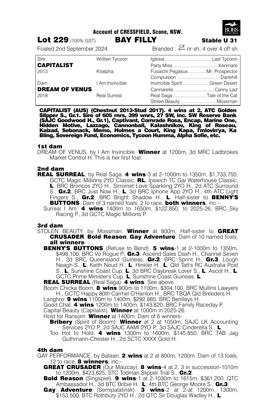Pedigree - Lot 229