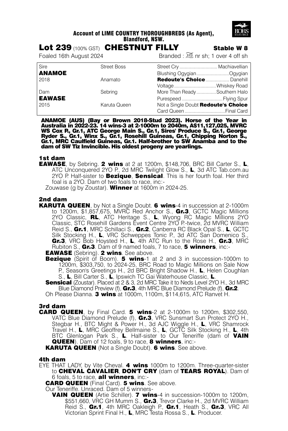 Pedigree - Lot 239