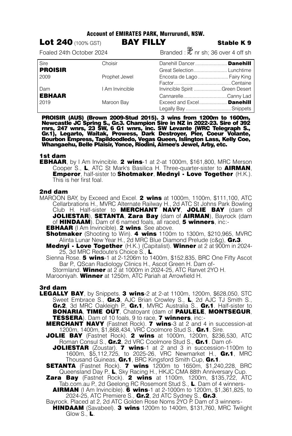Pedigree - Lot 240