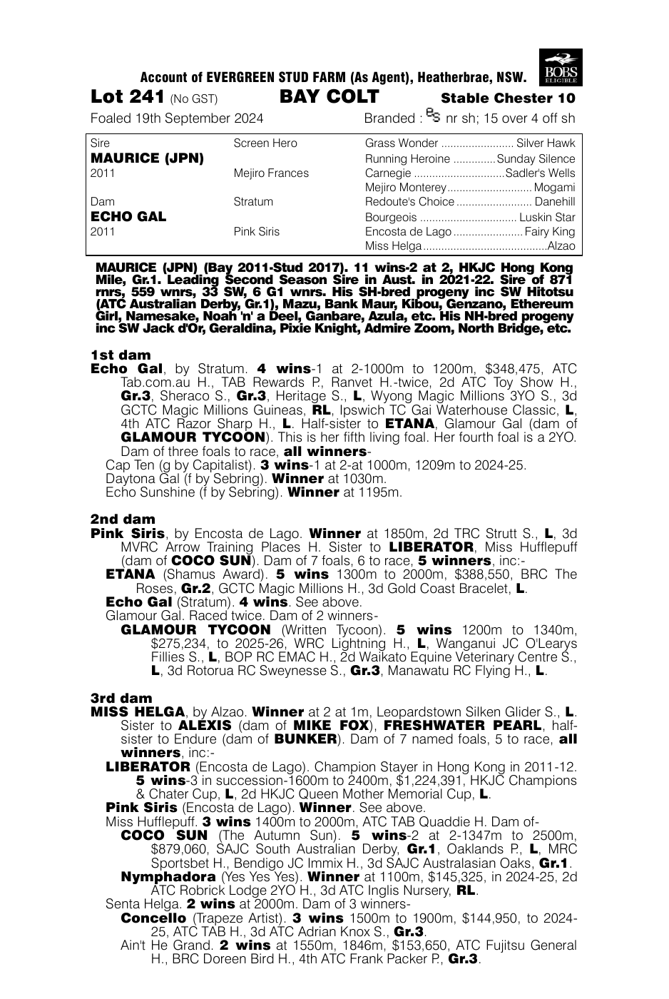 Pedigree - Lot 241